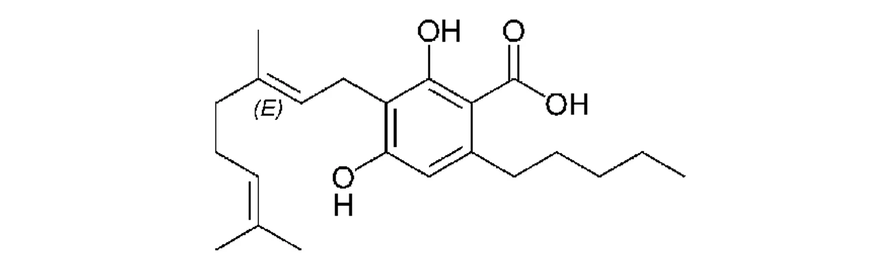 PČR: Kyselina kanabigerolová (CBGA)