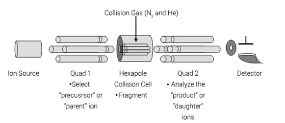 Agilent 7010 GC/QQQ (Bazar)