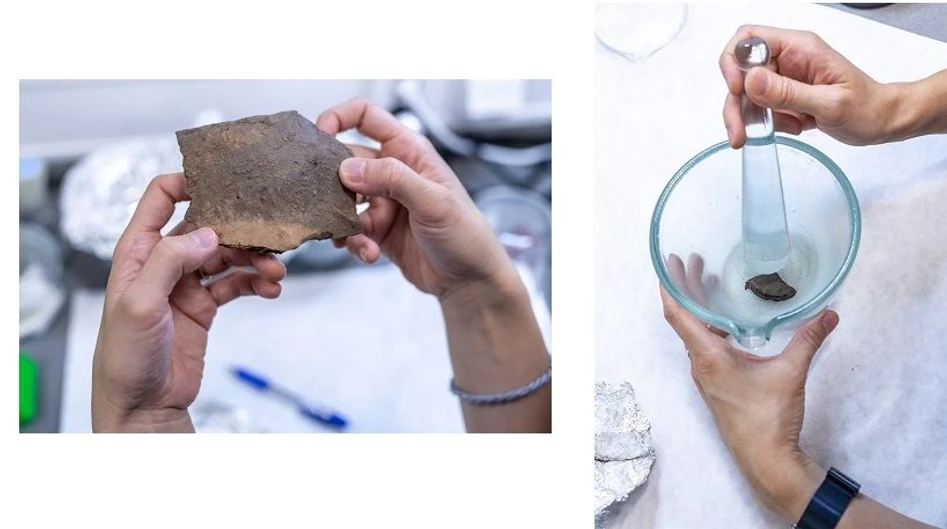 AVČR/Jana Plavec: Při vaření přecházelo nejvíc tuku do keramické stěny kus pod horním okrajem nádoby. Očištěný střep je třeba rozlámat a pak rozemlít na prášek.