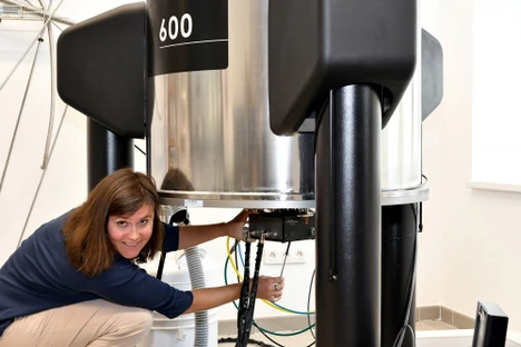 Eliška Procházková: Od profesora Holého k protinožcům a zpět