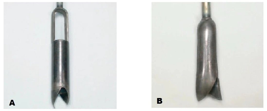 HZS ČR / Institut ochrany obyvatelstva / Michal SETNIČKA, Alena ČTVRTEČKOVÁ, René MAREK: Obrázek 5 – Vrták River (A) a Stony-soil (B) (foto: [16])