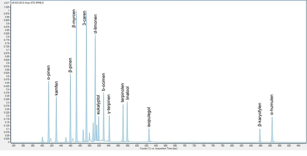 HZS: Obr. 5 Chromatogram STD Restek, SPME
