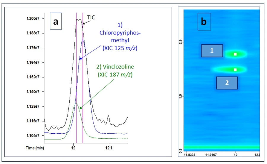 LECO: Obrázek 2. 2a. Přiblíženo v 1D koeluci s celkovým iontovým chromatogramem (TIC) (černá čára) a extrahovaným iontovým chromatogramem (XIC) 1) chlorpyrifos-methylu (modrá čára, m/z 125) a 2) vinclozolinu (zelená čára, m/z 187) . 2b. Kompletní 2D oddělení stejných součástí