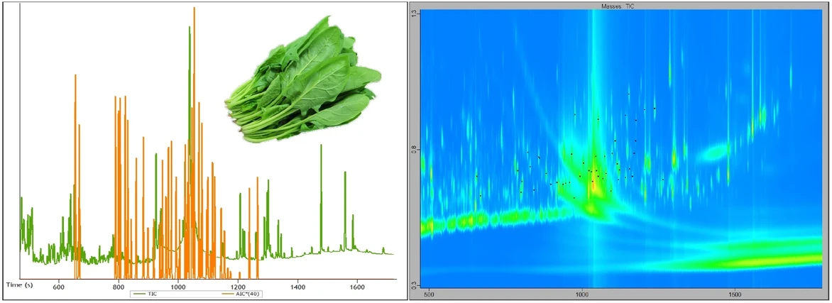 LECO: Obrázek 1. Překrytí chromatogramů špenátovým extraktem spikovaným směsí pesticidů v množství 100 ng/g