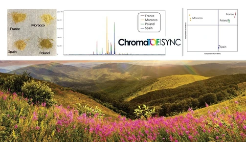 Pokročilá charakterizace a srovnání odrůd tymiánu z různých zeměpisných oblastí