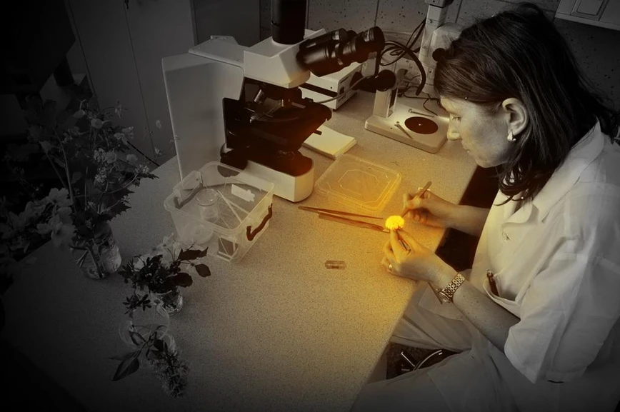 Noc vědců: Vůně, chuť, barva – dokážete odhalit léčivou rostlinu