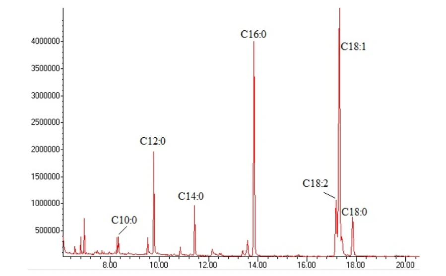 Obr. 11 Výsledný chromatogram vzorku po esterifikaci