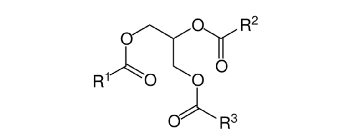 Obr. 1 Obecně triacylglycerid