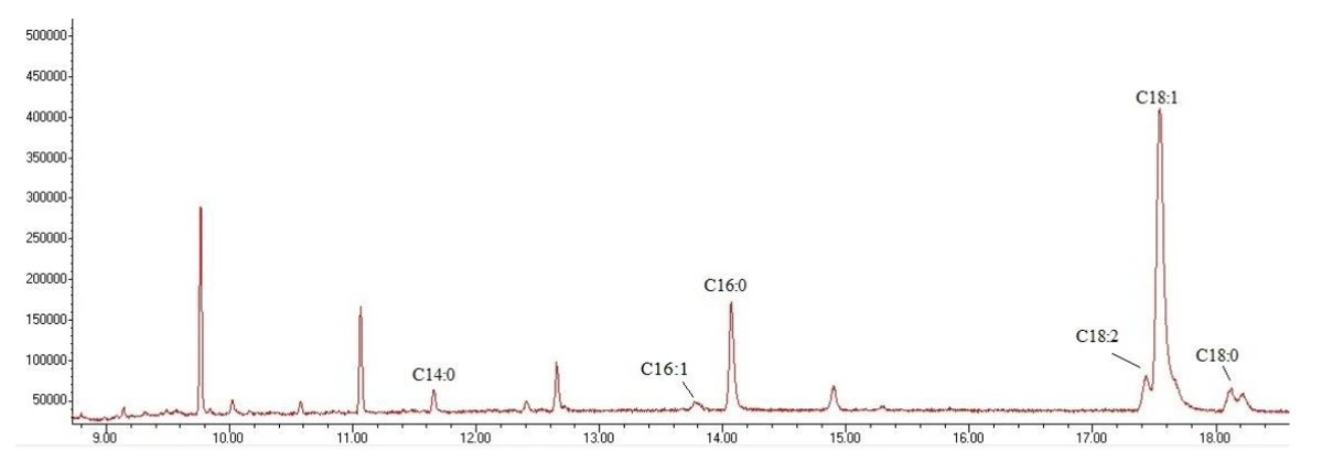 Obr. 8 Výsledný chromatogram – identifikace mastných kyselin ve vzorku