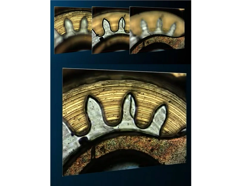 Optik Instruments: FTIR a Ramanova mikroskopie - Pokročilé možnosti akvizice a interpretace dat: Obr. 3 – ukázka skladby zaostřeného obrázku pomocí funkce 3D FOCUS FUSION.