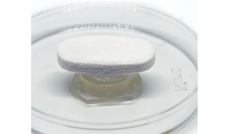 Optik Instruments: FTIR a Ramanova mikroskopie - Pokročilé možnosti akvizice a interpretace dat