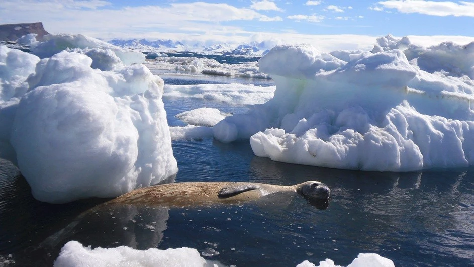 RECETOX - Luděk Sehnal - Zahraniční zkušenost vnímám jako naprosto nezbytnou. V Austrálii jsem našel vědecké téma na celý život