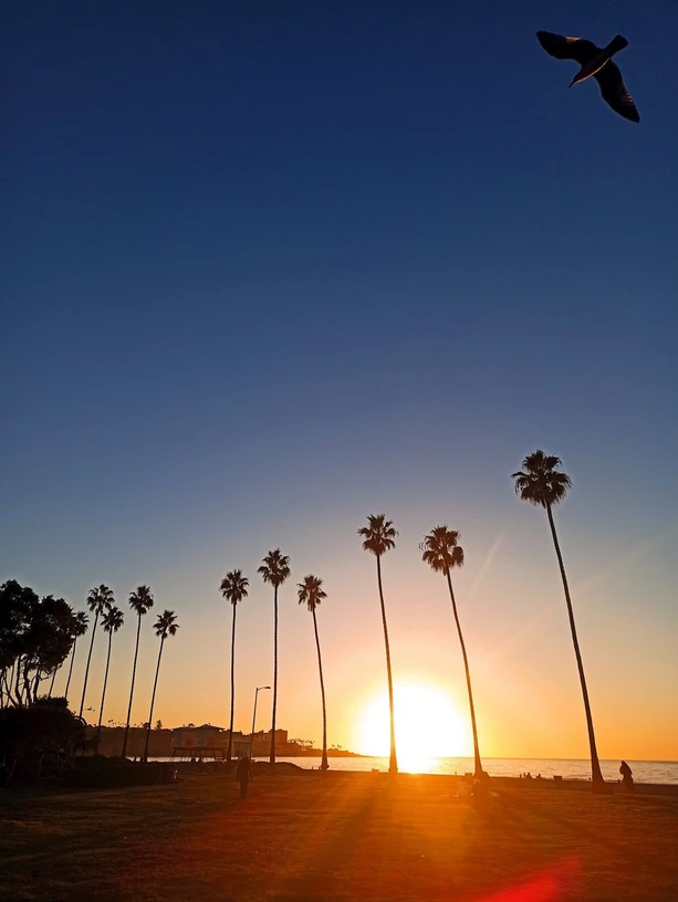 RECETOX - Luděk Sehnal - Zahraniční zkušenost vnímám jako naprosto nezbytnou. V Austrálii jsem našel vědecké téma na celý život