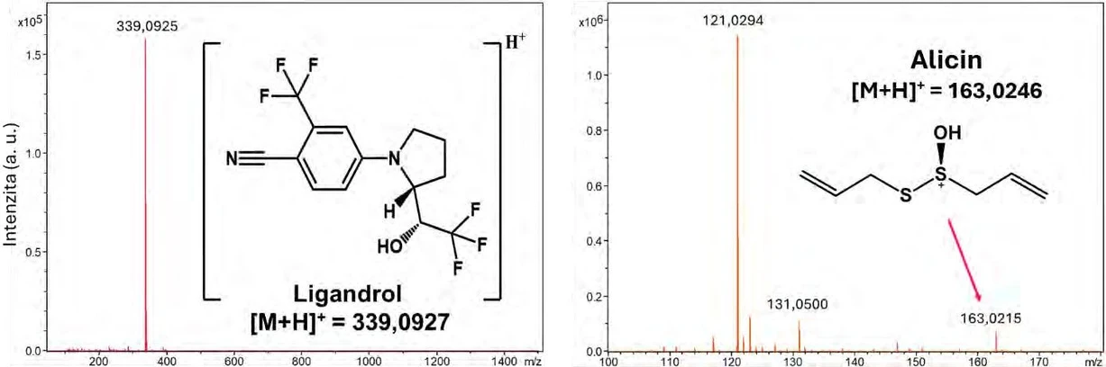 SSJMM / Jana Knytlová: Obrázek 3. Hmotnostní spektra ligandrolu a alicinu změřená na hmotnostním spektrometru s vlastním iontovým.
