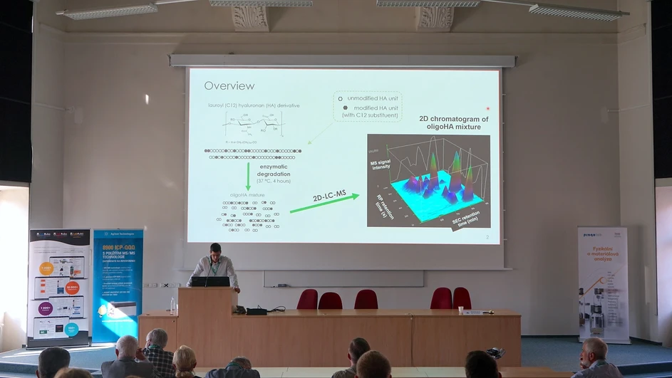 SSJMM: Structural characterization of hydrophobic hyaluronan derivatives by comprehensive 2D-LC-MS (M. VIDO)