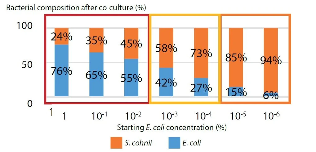 Shimadzu: Obr. 7 Složení bakterií měřené pomocí real-time PCR
