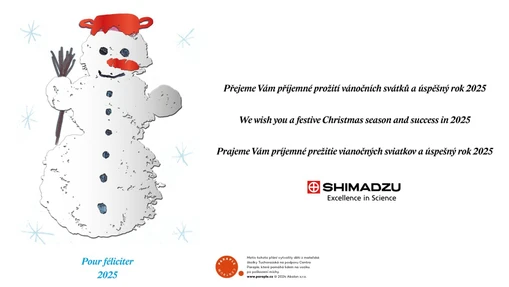 Vše nejlepší do Nového roku 2025