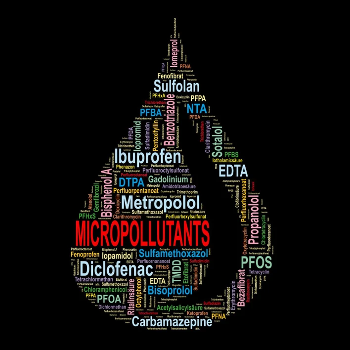 Thermo Scientific: Water & Environmental Analysis User Meeting (on-line stream)