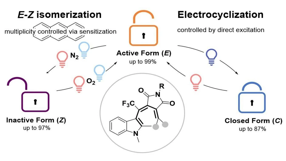 ÚOCHB AVČR: Fotospínače na bázi fulgidů můžou existovat ve třech izomerních formách (Z, E a C) a teoreticky mají přístup jak k velké sterické změně izomerizace dvojné vazby, tak k velké spektrální změně vyvolané elektrocyklizací. Řízením četnosti a prostředí fotoizomerizace lze dosáhnout přesného řízení těchto izomerizací.