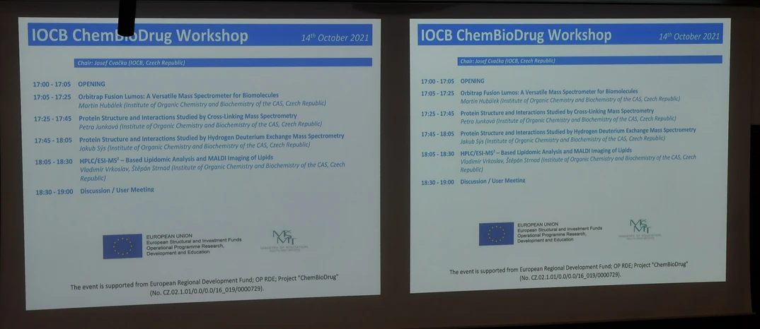UOChB/Michal Hoskovec/PMHPMS: IOCB ChemBioDrug Workshop