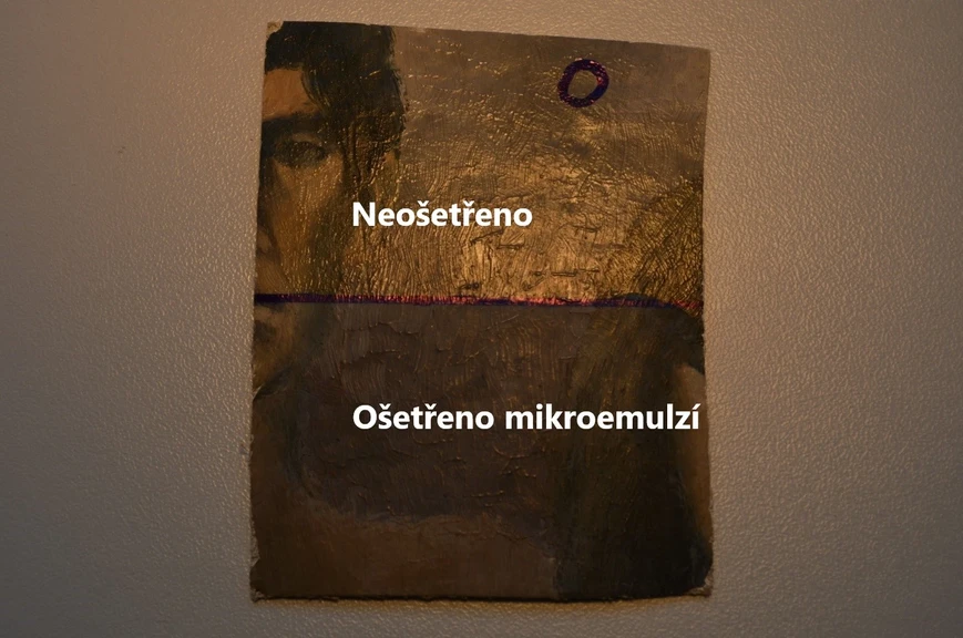 Vědavýzkum.cz: Ideální pro střední Evropu