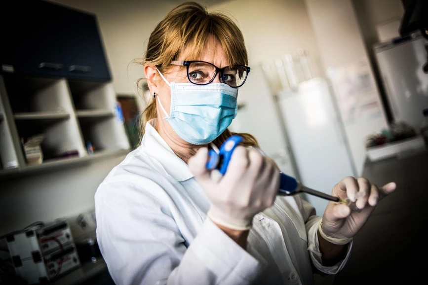 Vesmír/Luboš Wišniewski (UK): RNDr. Ruth Tachezy, Ph.D.