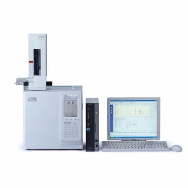 Shimadzu GC-2025 System