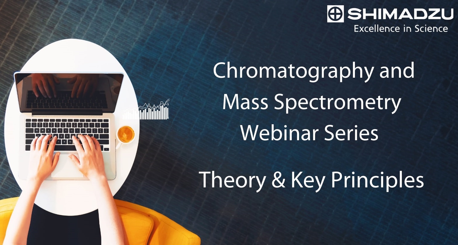 Shimadzu: Shimadzu Theory & Key Principles Series - GC Session 1: Introduction to Gas Chromatography