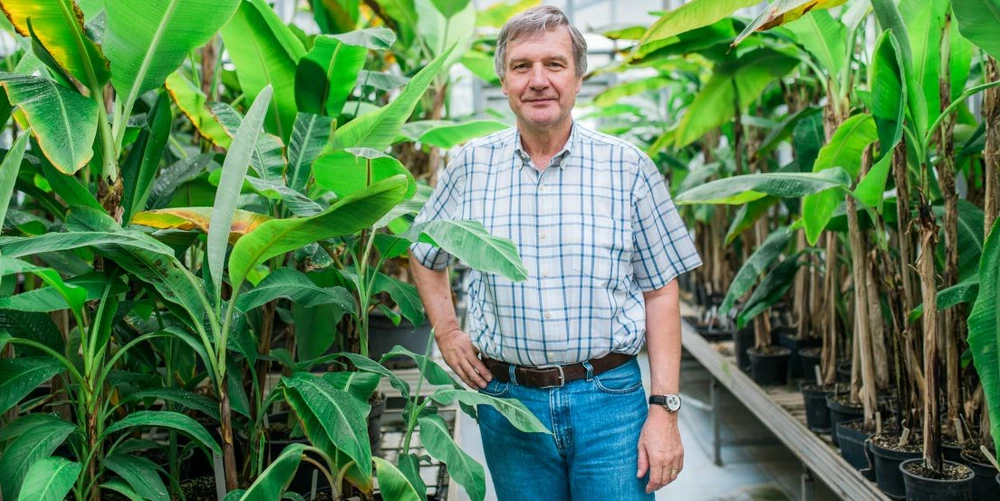 <p>Universitas/SSČ AV ČR/Pavlína Jachimová: Banánovník miluji a kdybych si měl vybrat jedinou rostlinu, se kterou budu pracovat, určitě bych si vybral právě tuto, říká Jaroslav Doležel.</p>
