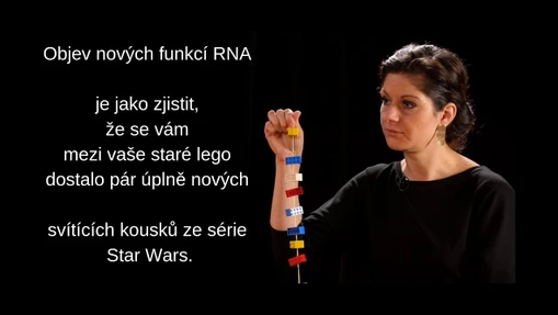 Laureát Ceny Neuron pro mladé vědce za rok 2018 - Hana Macíčková Cahová