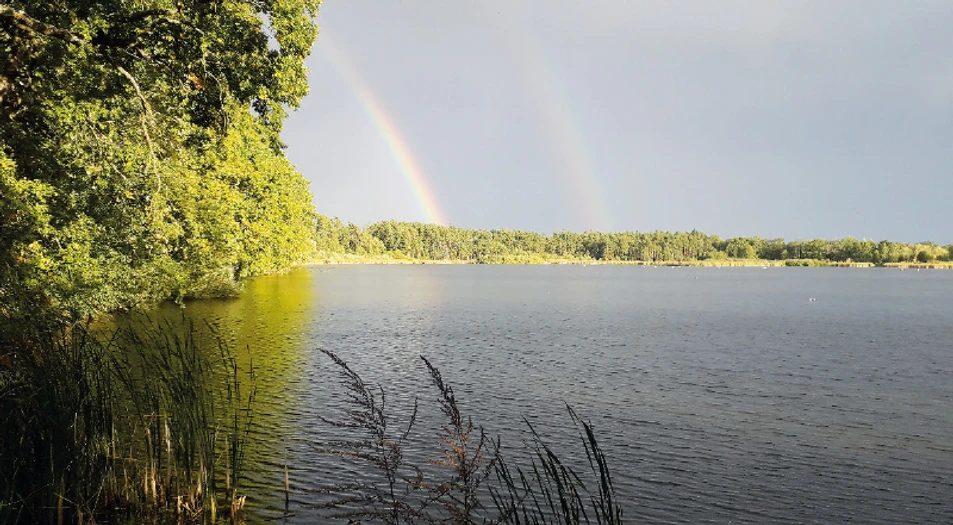 Obr. 6. Pohled na rybník Rod u Lomnice nad Lužnicí