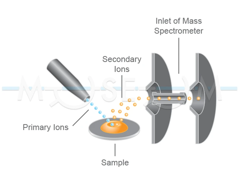 The Czech Museum of Mass Spectrometry/Martin Strohalm